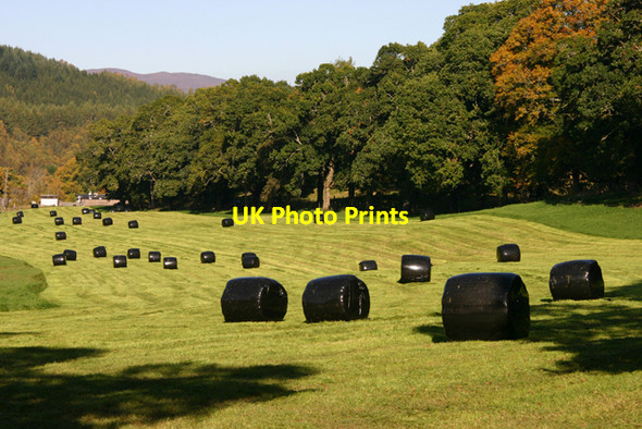 Photo 6"x4" Silage field at Balcladaich Tomich\/NH3027 c2010