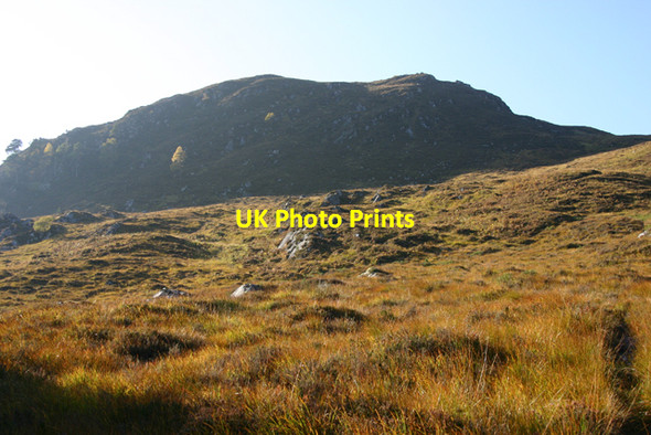 Photo 6"x4" Meallan na Ceardaich M\u00e8allan na Ceardaich c2010