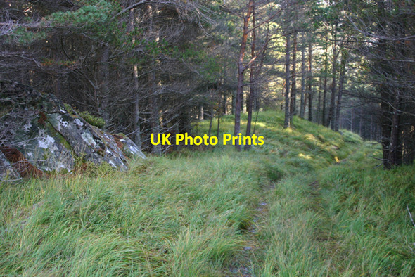 Photo 6"x4" Path through plantation M\u00e8allan na Ceardaich c2010