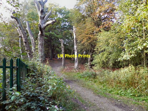 Photo 6"x4" Clifton Country Park Swinton\/SD7701 c2010