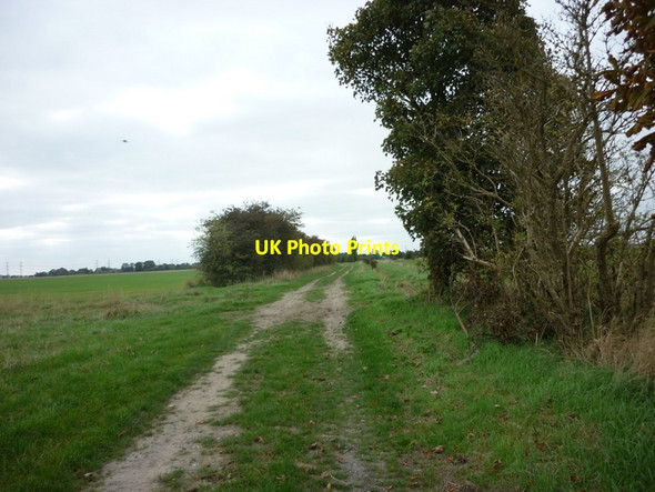 Photo 6"x4" A footpath heading towards Garthorpe Adlingfleet c2010