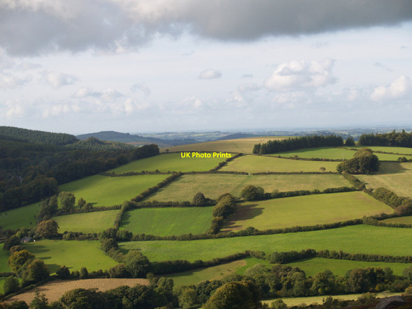 Photo 6"x4" Fields below Heatree Down Bonehill\/SX7277 c2010