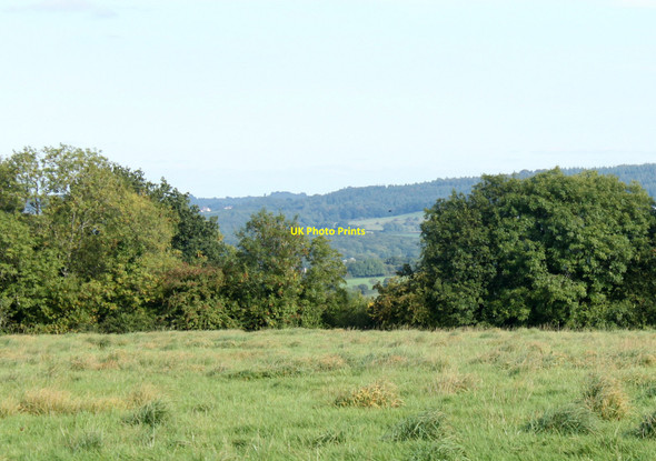 Photo 6"x4" 2010 : On the hill above Stall's Farm Upton Noble c2010
