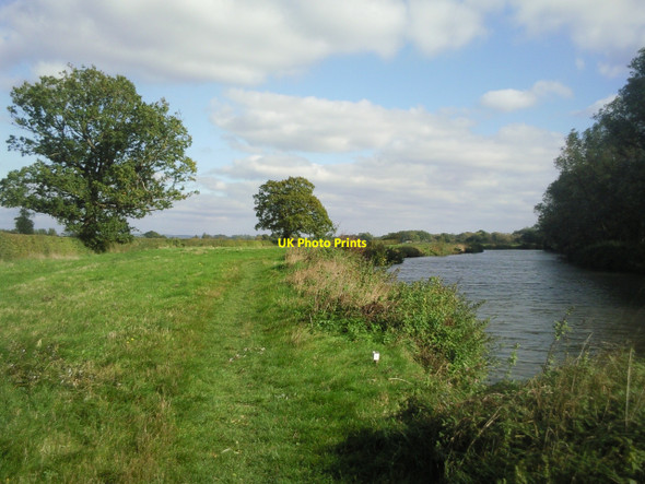Photo 6"x4" River Medway bank near Hartlake Golden Green c2010