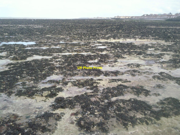Photo 6"x4" Rock pools between Minnis Bay and Grenham Bay at low tide Birchington c2010