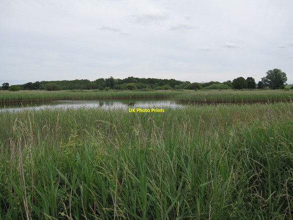 Photo 6"x4" Redgrave and Lopham Fen Fen Street\/TM0579 c2010