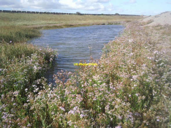 Photo 6"x4" Saltwater lagoon at Plumpudding Island Potten Street c2010