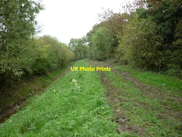 Photo 6"x4" The Howden 20 walk goes down this Green Lane Brind c2010