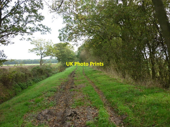 Photo 6"x4" Heading East along a Green Lane towards the A614 North Howden c2010