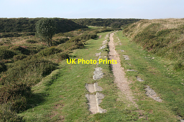 Photo 6"x4" Ilsington: on Haytor Down Haytor Vale c2010
