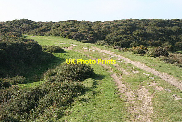 Photo 6"x4" Ilsington: the line to Holwell Quarry Haytor Vale c2010
