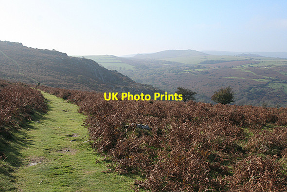 Photo 6"x4" Ilsington: towards Holwell Quarry Haytor Vale c2010