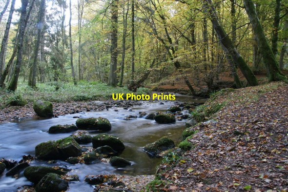 Photo 6"x4" Alyth Burn in Den o' Alyth Alyth c2010