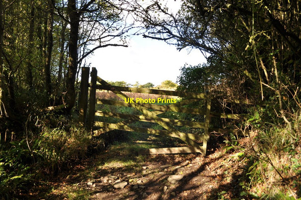 Photo 6"x4" A gate on the path from Bickleton to Yelland Yelland\/SS4931 c2010