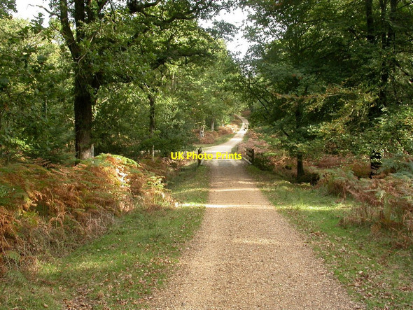 Photo 6"x4" Roe Inclosure, bridge Linwood\/SU1809 c2010
