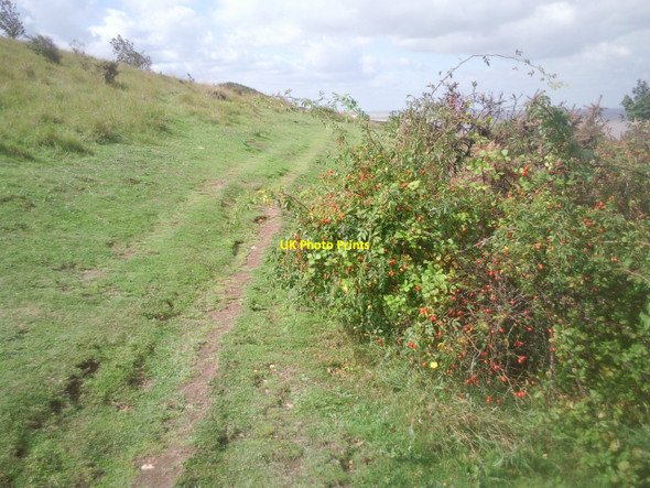 Photo 6"x4" On The Downs at Herne Bay Herne Bay\/TR1767 c2010