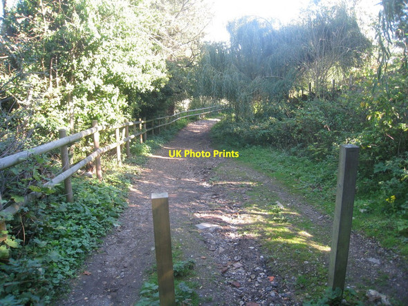 Photo 6"x4" Track on Coopers Hill Egham c2010