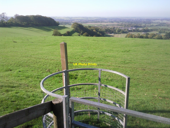 Photo 6"x4" Farthing Common Skeete c2010