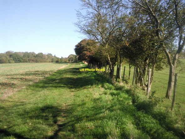 Photo 6"x4" North Downs Way near Farthing Common Skeete c2010