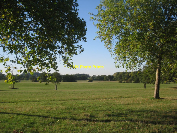 Photo 6"x4" In Windsor Great Park (7) Villag c2010