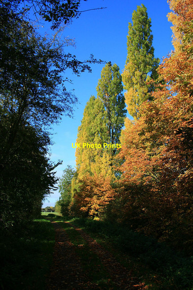 Photo 6"x4" Autumn colours in West Park Long Eaton c2010