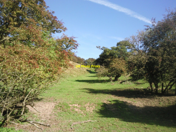 Photo 6"x4" Top of dry valley followed by the North Downs Way Etchinghill\/TR1639 c2010