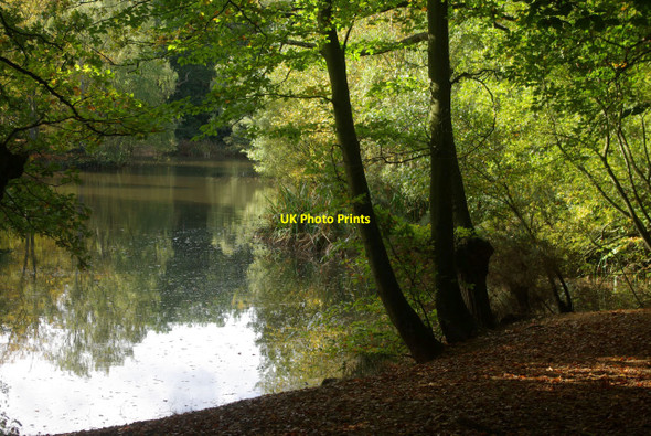Photo 6"x4" Strawberry Hill Pond Loughton\/TQ4396 c2010