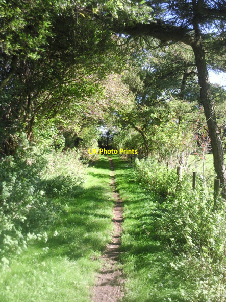 Photo 6"x4" North Downs Way above Peene Peene c2010