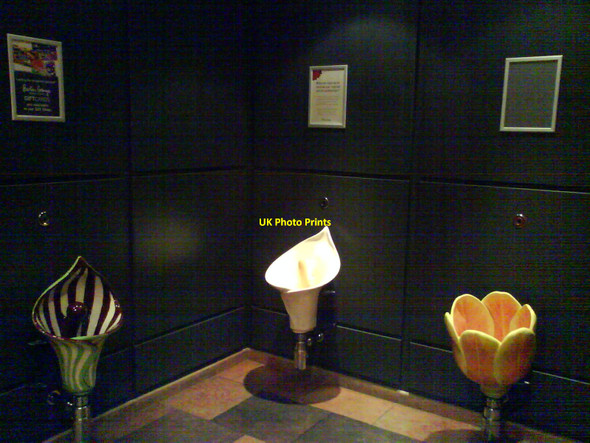 Photo 6"x4" Flower urinals at Barton Grange Garden Centre Brock\/SD5140 c2010