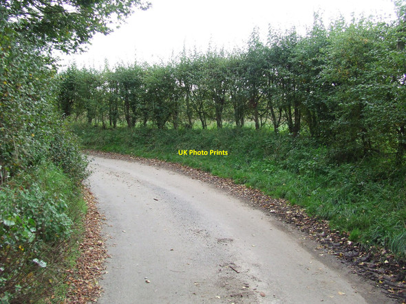Photo 6"x4" Sharp Bend Hadleigh\/TM0242 c2010