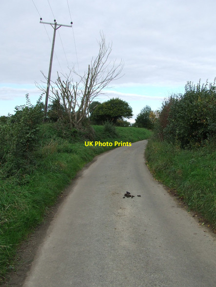 Photo 6"x4" The Leaning Pole Of Hadleigh Hadleigh\/TM0242 c2010