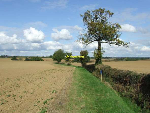 Photo 6"x4" Footpath And Blue Skies Hadleigh Heath c2010