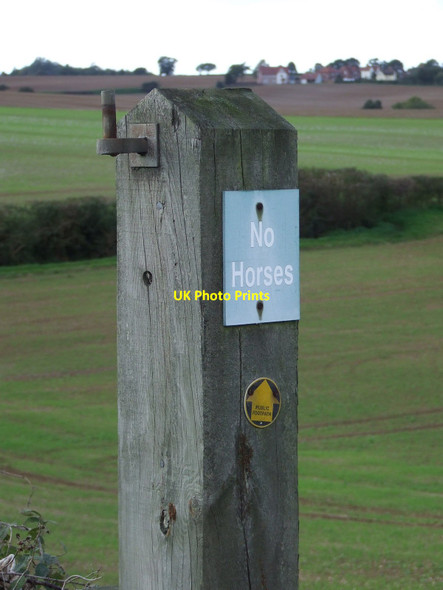 Photo 6"x4" No Horses Hadleigh\/TM0242 c2010