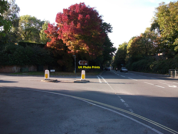Photo 6"x4" Autumn Tints Exeter c2010