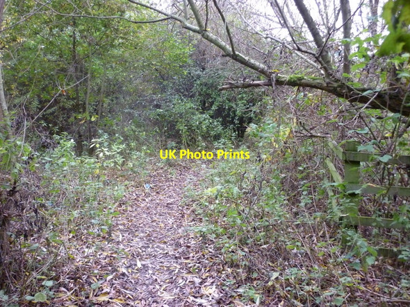 Photo 6"x4" A footpath towards Wood Row Wood Row\/SE3827 c2010