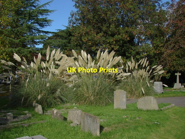 Photo 6"x4" Banstead churchyard Banstead c2010