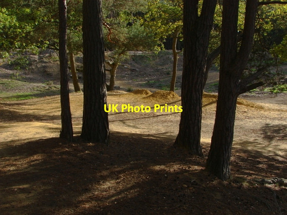 Photo 6"x4" Oxshott Heath Oxshott c2010 P3