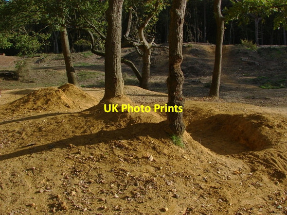 Photo 6"x4" Oxshott Heath Oxshott c2010 P4