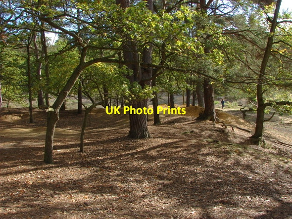 Photo 6"x4" Oxshott Heath Oxshott c2010 P5