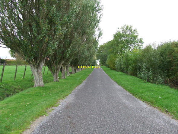 Photo 6"x4" Ash Lane Hargate c2010