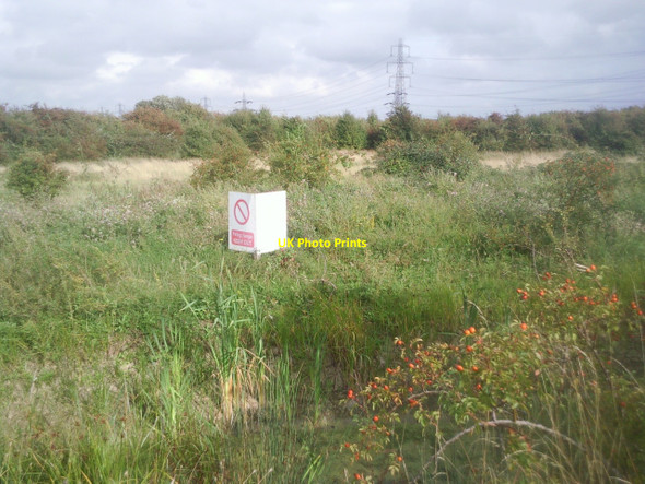 Photo 6"x4" On Shorne Marshes Chalk c2010