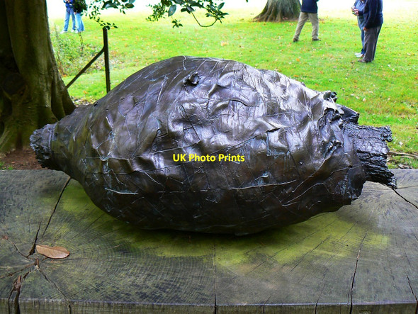 Photo 6"x4" Westonbirt Wishes Bronze, Westonbirt Arboretum Westonbirt c2010