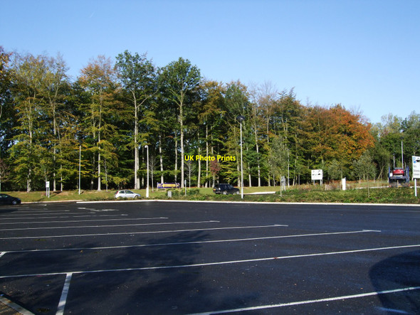 Photo 6"x4" Trees by Beaconsfield Services Beaconsfield c2010
