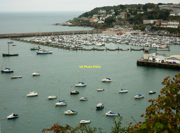 Photo 6"x4" Brixham Outer Harbour Brixham c2010