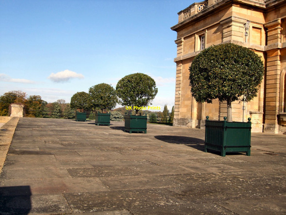 Photo 6"x4" Plants in Blenheim Gardens courtyard Woodstock\/SP4416 c2010