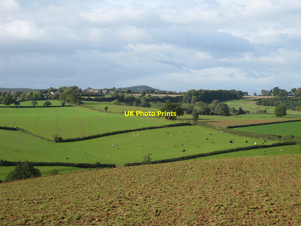 Photo 6"x4" Herefordshire farmland Linton Hill\/SO6624 c2010