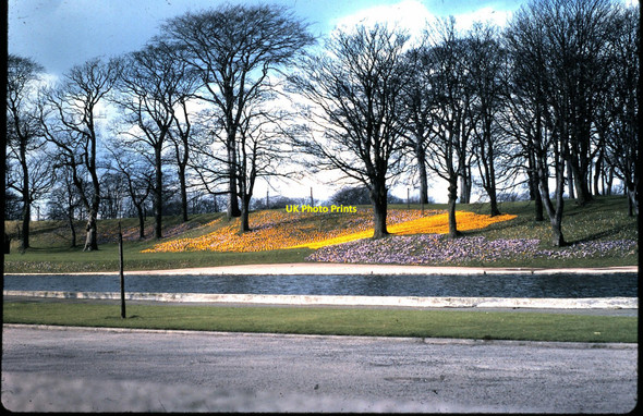 Photo 6"x4" Spring in Duthie Park (1978) Aberdeen\/NJ9206 c1978