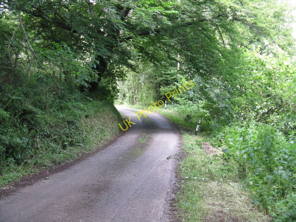 Photo 6"x4" Lane At The Pembrokeshire Coast Path Access Hundleton c2009