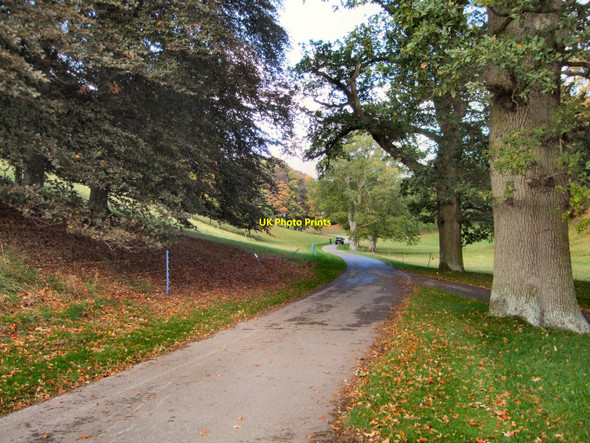 Photo 6"x4" Path on East Side of Blenheim Park Woodstock\/SP4416 c2010