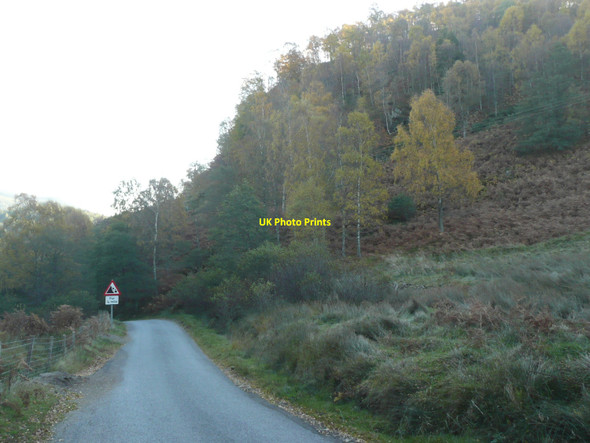 Photo 6"x4" Craig Cammoch Faskally c2010